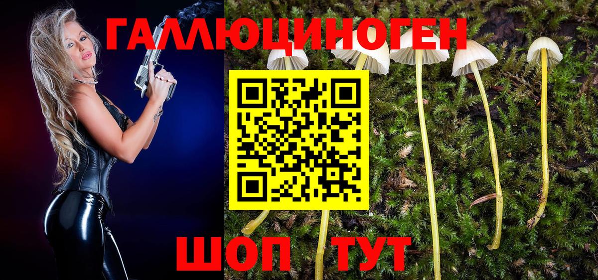 Галлюциногенные грибы Psilocybine cubensis Павлово