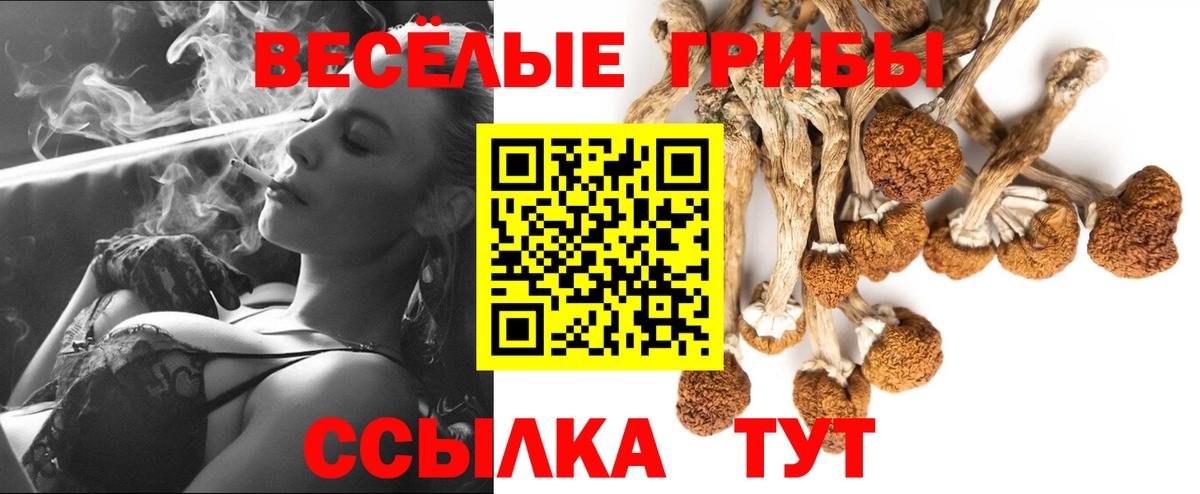 Галлюциногенные грибы ЛСД  Вход с VPN  где найти наркотики  Псилоцибиновые грибы Cubensis  Павлово 